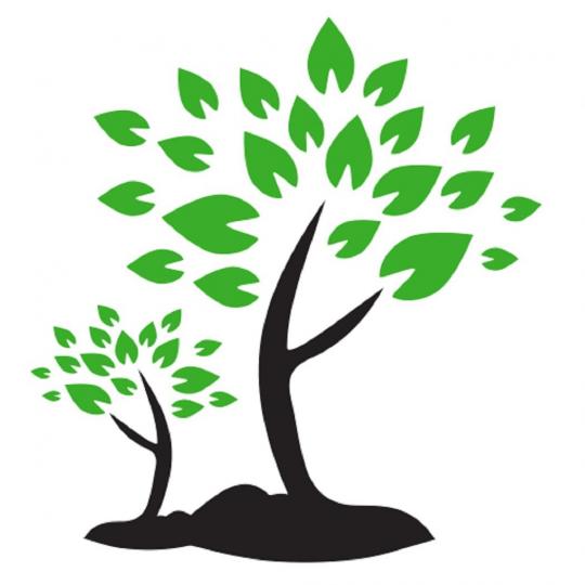 Organization Logo