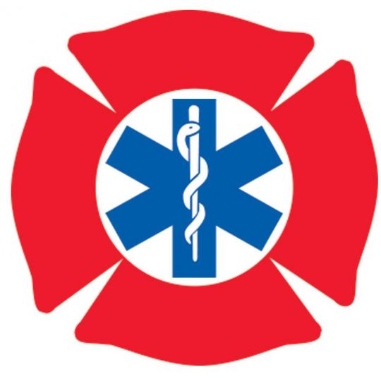 Organization Logo