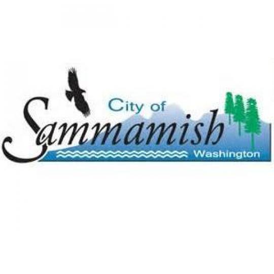Organization Logo