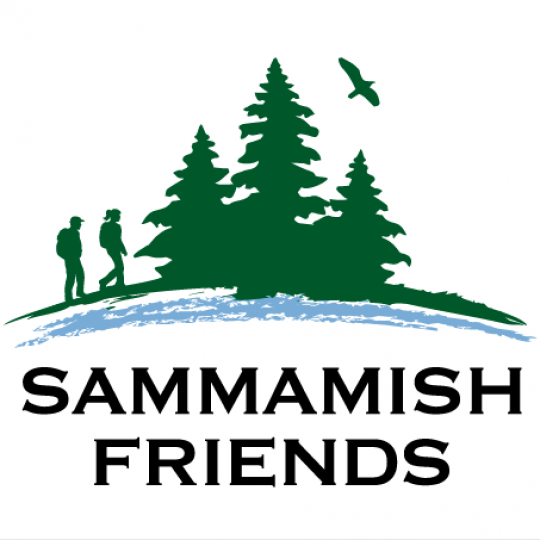 Organization Logo