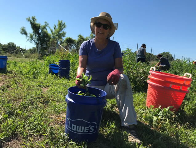 Program Photo  (180799)