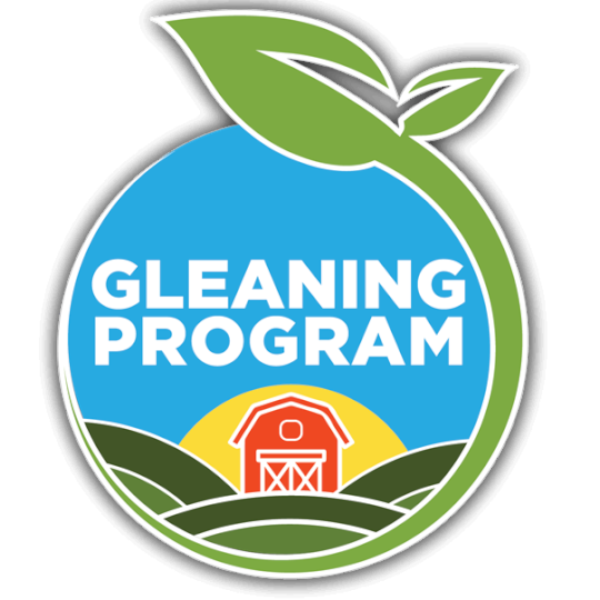 Program Logo