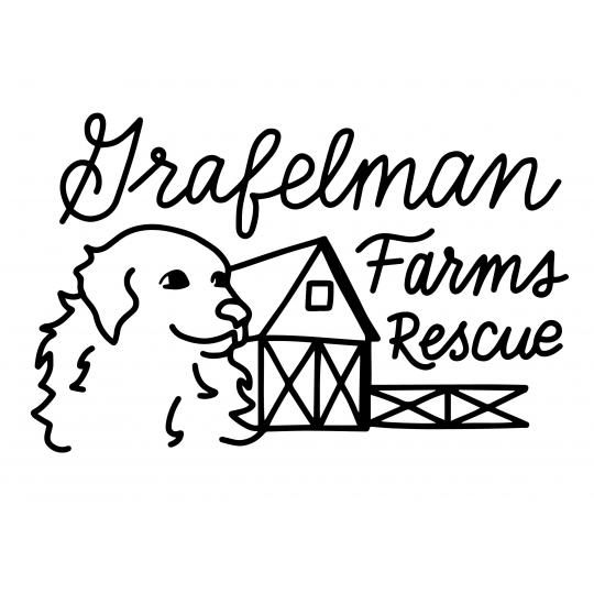 Agency Logo