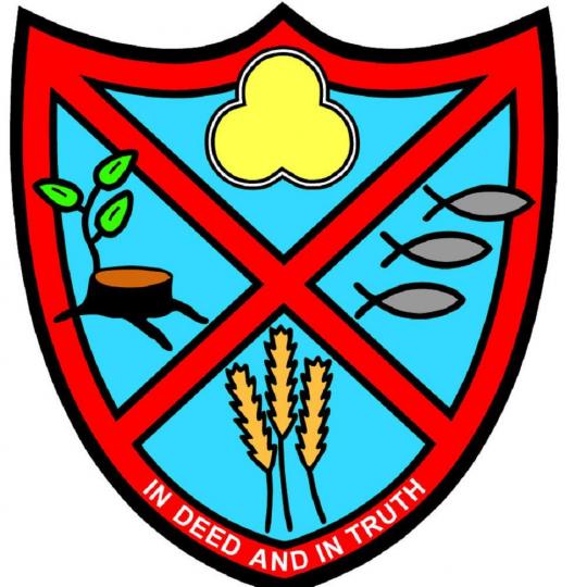 Organization Logo