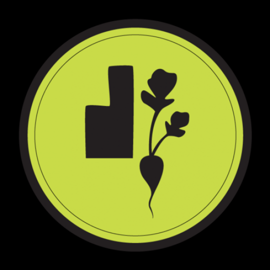 Organization Logo