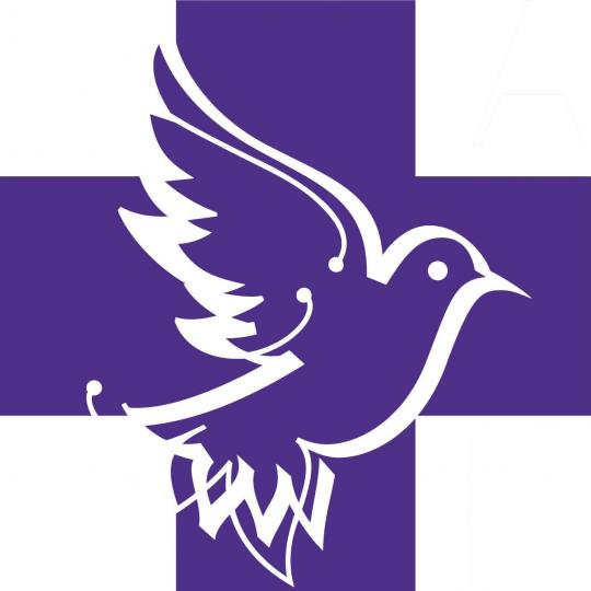 Organization Logo