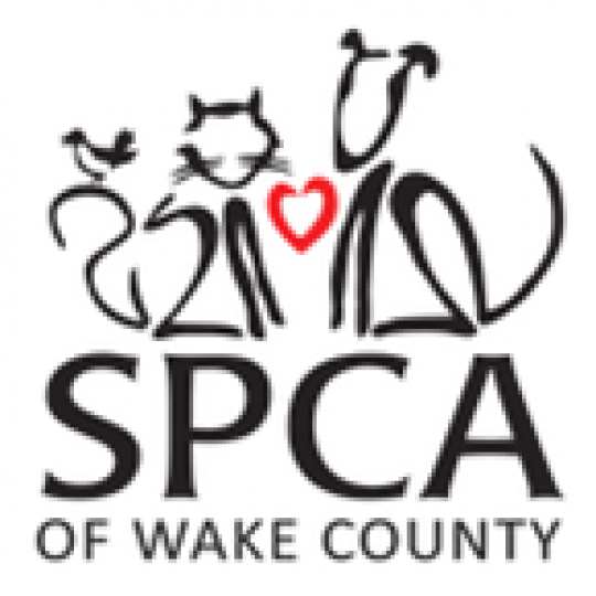 Organization Logo