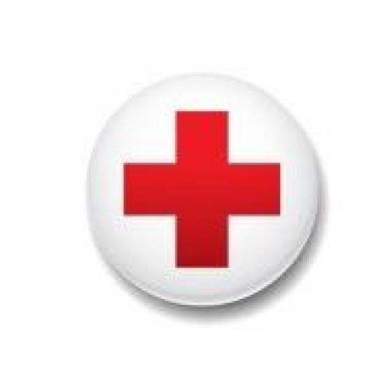 Organization Logo