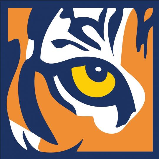Organization Logo