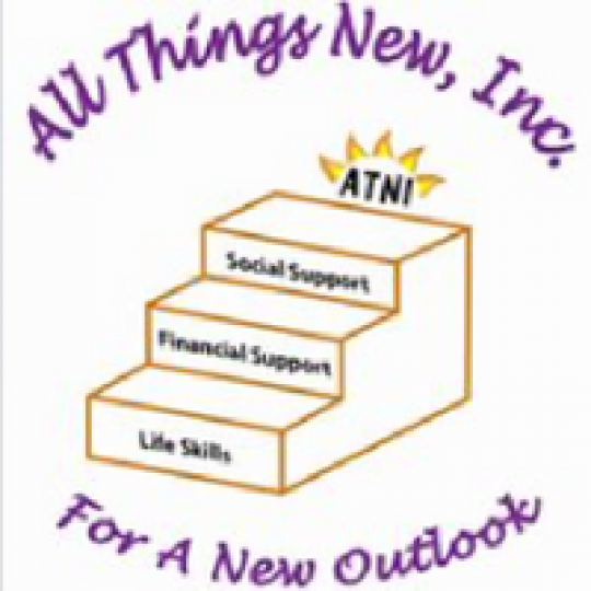 Organization Logo