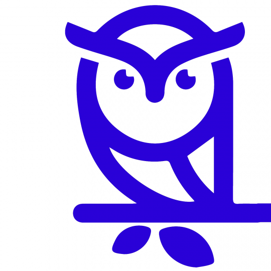 Organization Logo