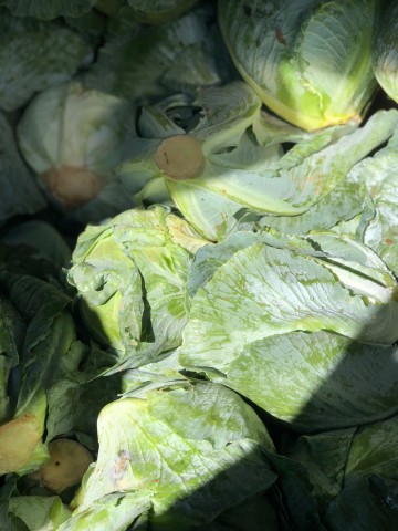 Program Photo  (114787)