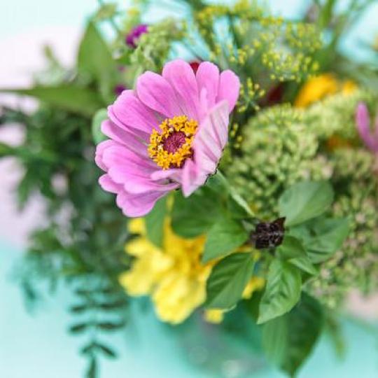 Community Partner Logo