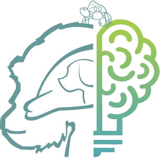 Agency Logo