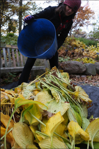 Organization Photo  (120684)