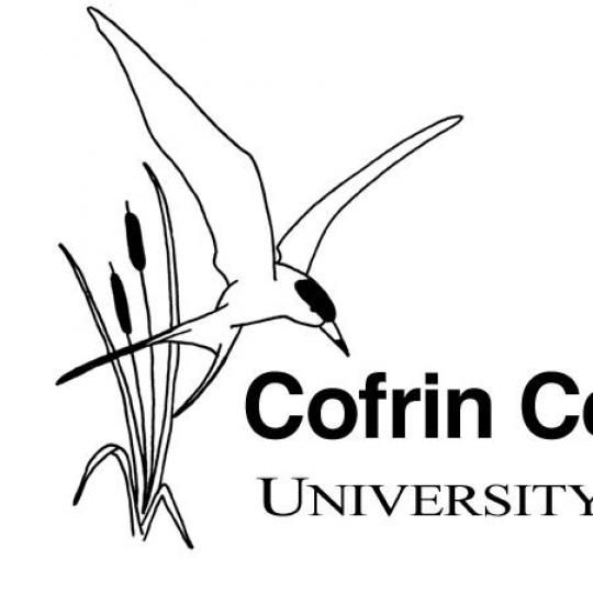 Organization Logo