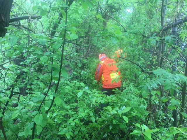 Agency Photo  (153838)