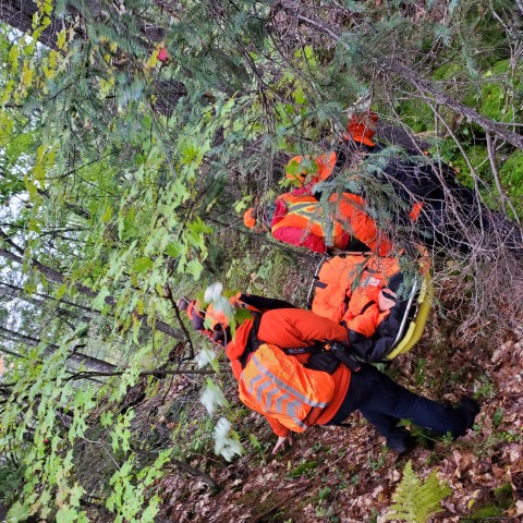 Agency Photo  (195921)