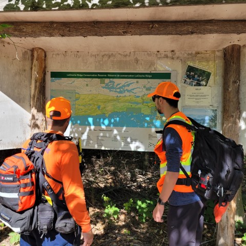 Agency Photo  (195745)