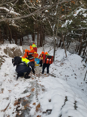 Agency Photo  (153840)