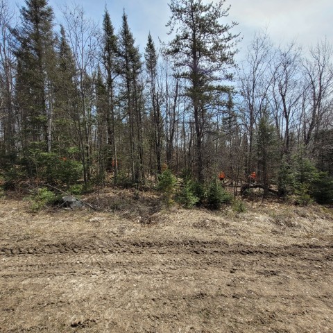 Agency Photo  (207664)