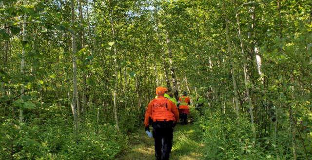 Agency Photo  (185171)