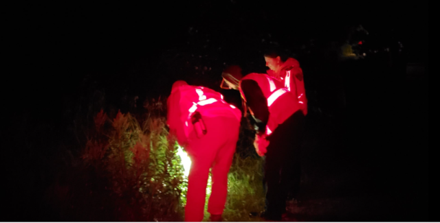 Agency Photo  (185156)