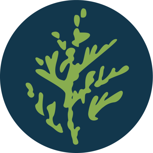 Agency Logo