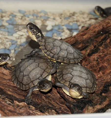 Agency Photo  (153022)