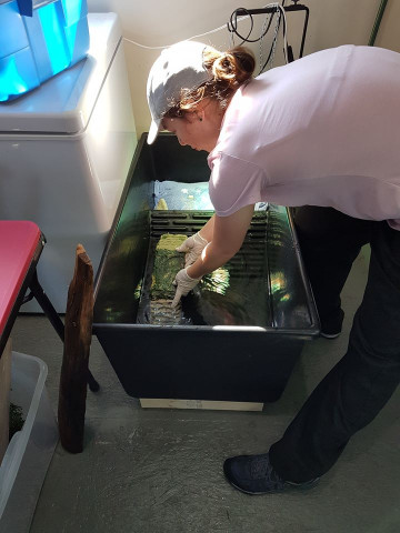 Agency Photo  (153019)