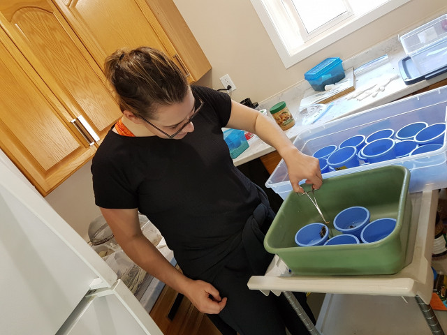 Agency Photo  (153023)