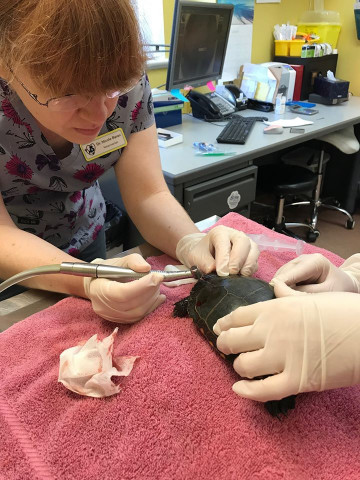 Agency Photo  (153021)