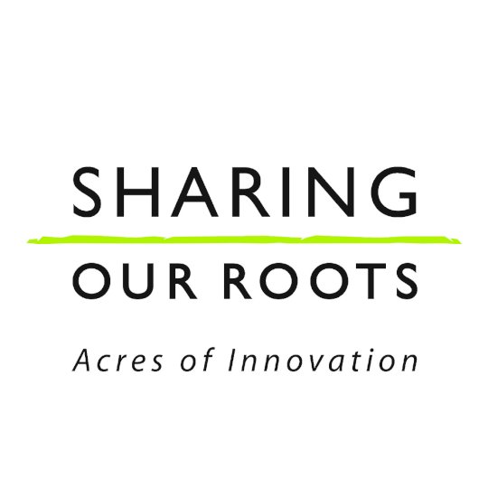 Organization Logo