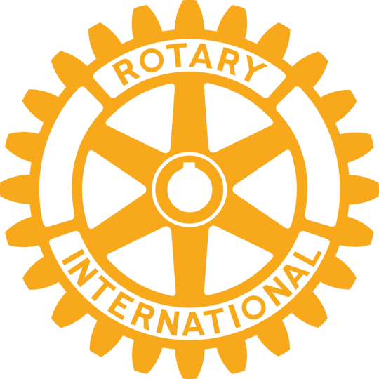 Organization Logo