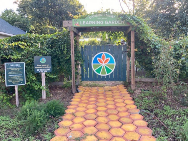 Program Photo  (170049)