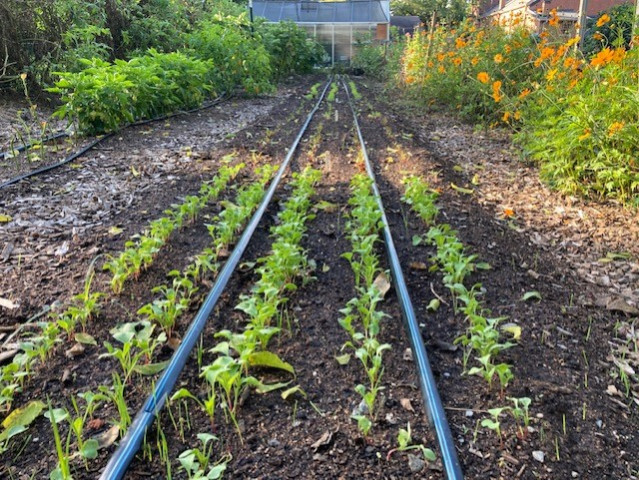 Program Photo  (170050)