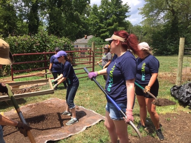 Program Photo  (135399)