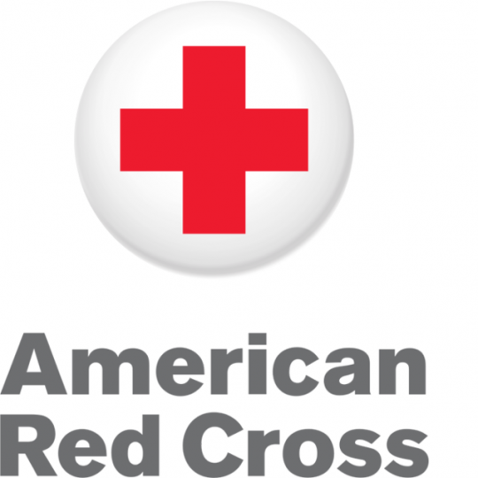 Nonprofit Partner Logo