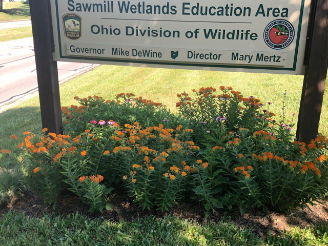 Nonprofit Partner Photo  (155500)