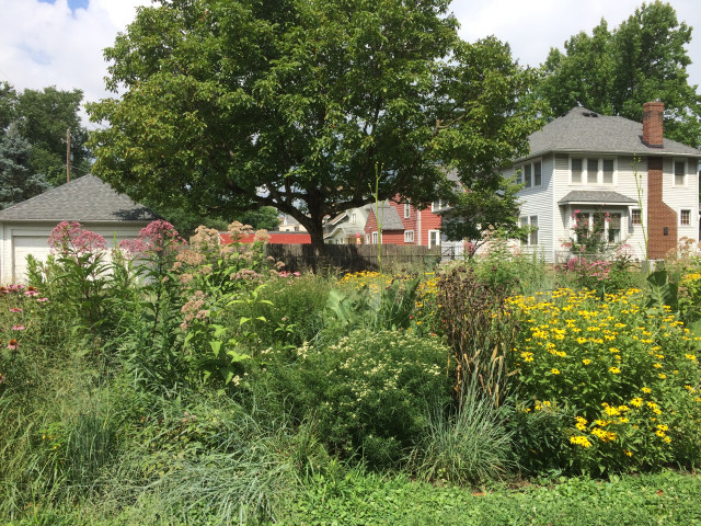 Nonprofit Partner Photo  (155496)