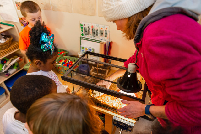 Nonprofit Partner Photo  (132287)
