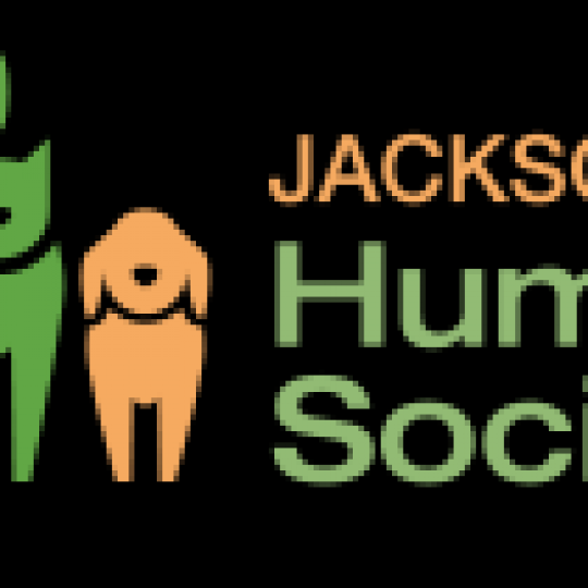 Agency Logo