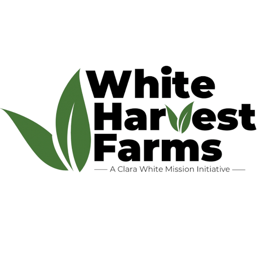 Agency Logo