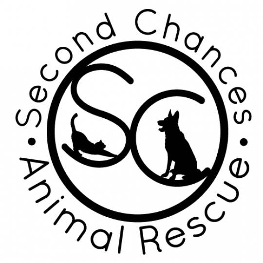 Agency Logo