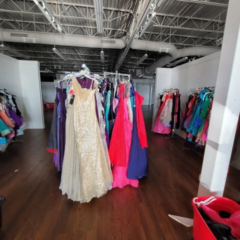 Agency Photo  (186411)