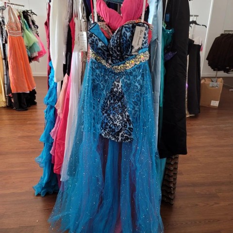 Agency Photo  (186412)