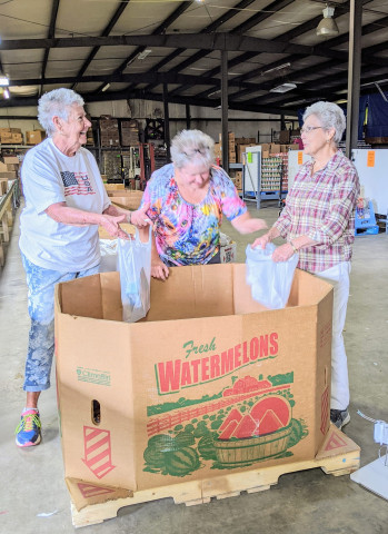 Agency Photo  (156912)