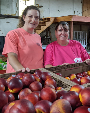 Agency Photo  (156911)