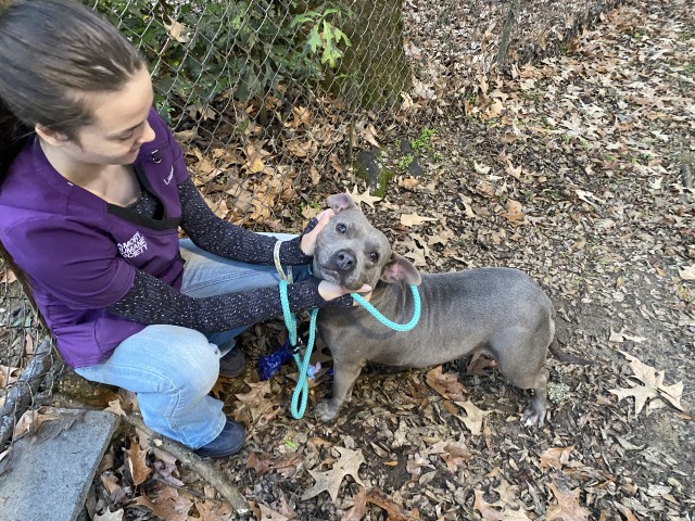 Agency Photo  (211256)