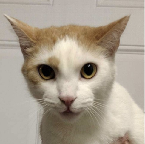 Agency Photo  (211259)